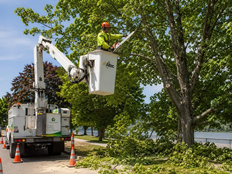 Élagueur taillant un arbre à la tronçonneuse depuis une nacelle en bord de voie