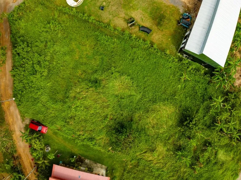 Vue aérienne d'un terrain couvert de végétation haute