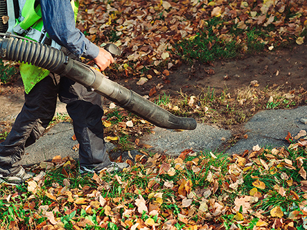 Soufflage et aspiration de feuilles mortes en automne