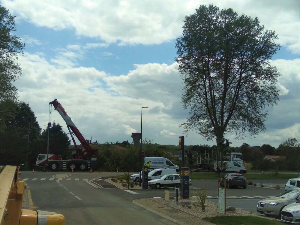 Équipe Agri Sud-Ouest AR sur un chantier d'élagage