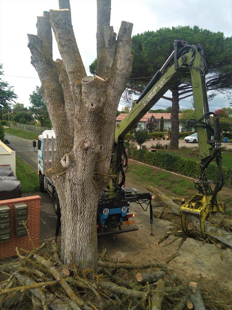 Travaux d'élagage dans le Tarn
